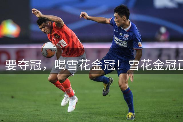 要夺冠，喝雪花金冠！雪花金冠正式成为2026湘超五大赛区唯一指定啤酒